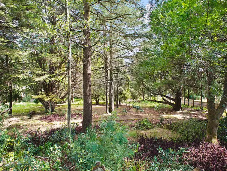 35 Nelson Avenue, Wentworth Falls NSW 2782