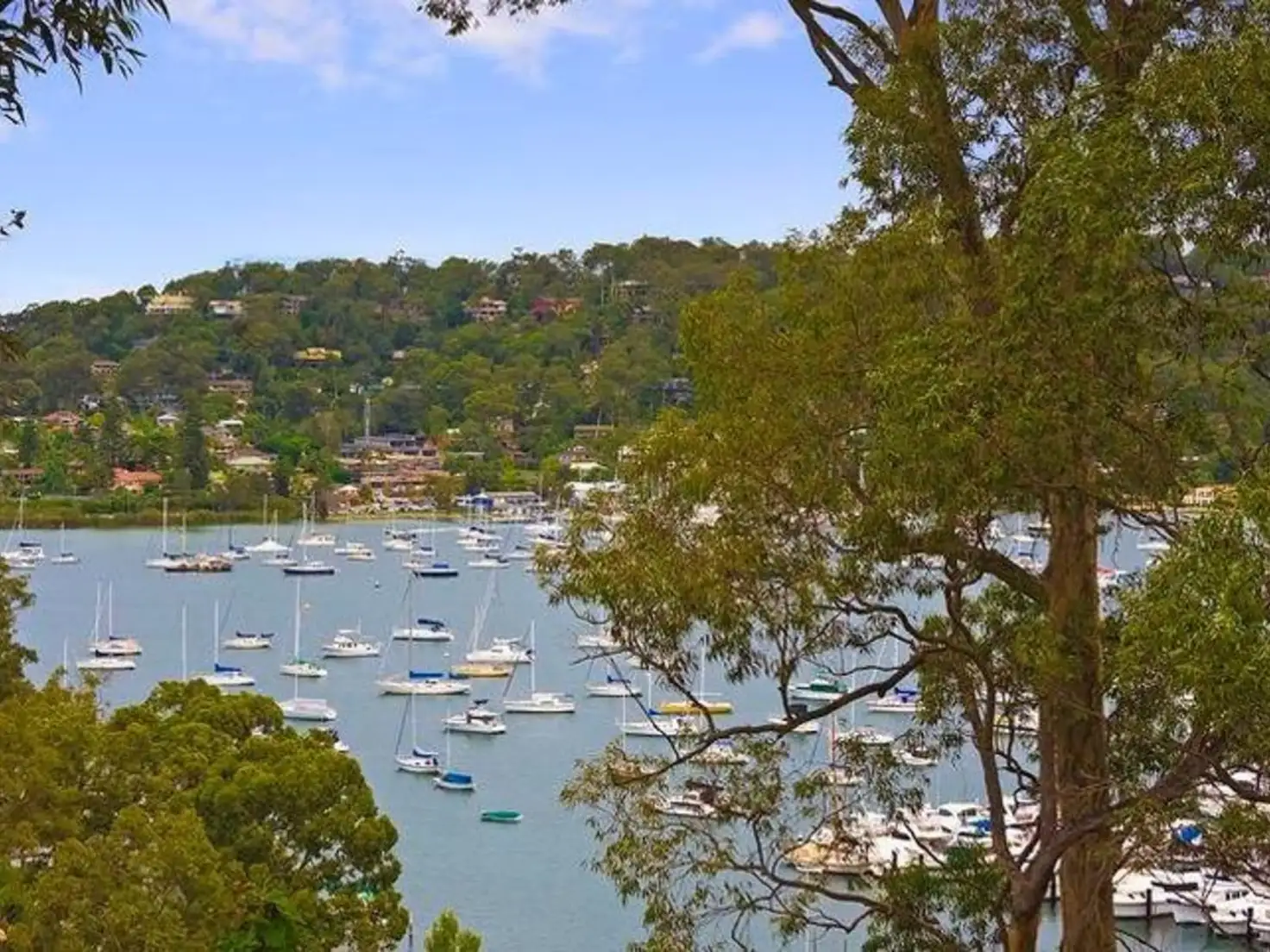 Main view of Homely house listing, 157 Wallumatta Road, Newport NSW 2106