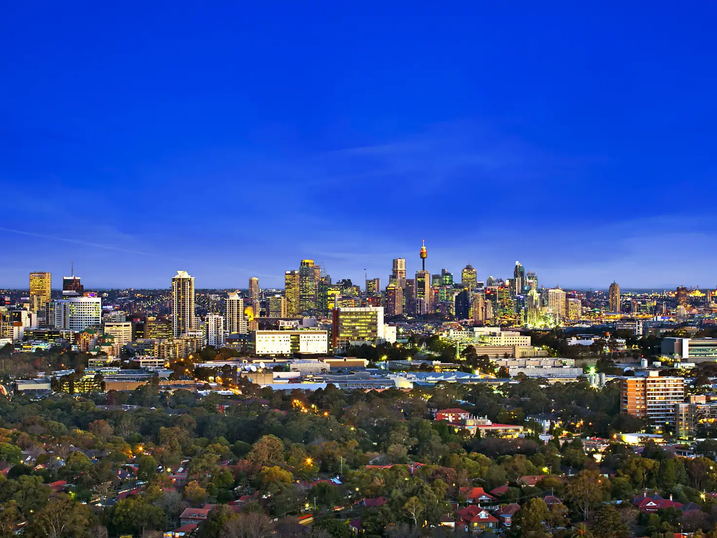 Main view of Homely apartment listing, V3302/69 Albert Avenue, Chatswood NSW 2067