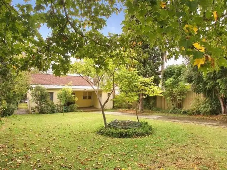 53 Undercliffe Road, Earlwood NSW 2206