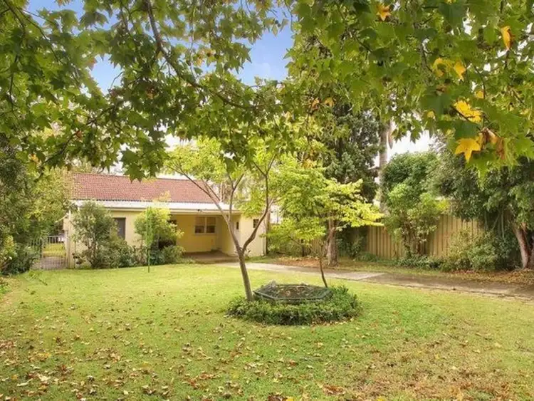 Fifth view of Homely house listing, 53 Undercliffe Road, Earlwood NSW 2206
