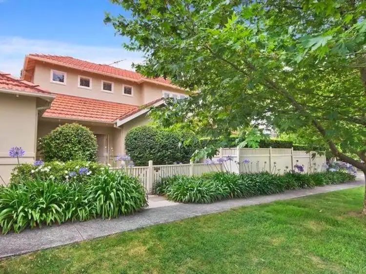 36 Ann Street, Willoughby NSW 2068