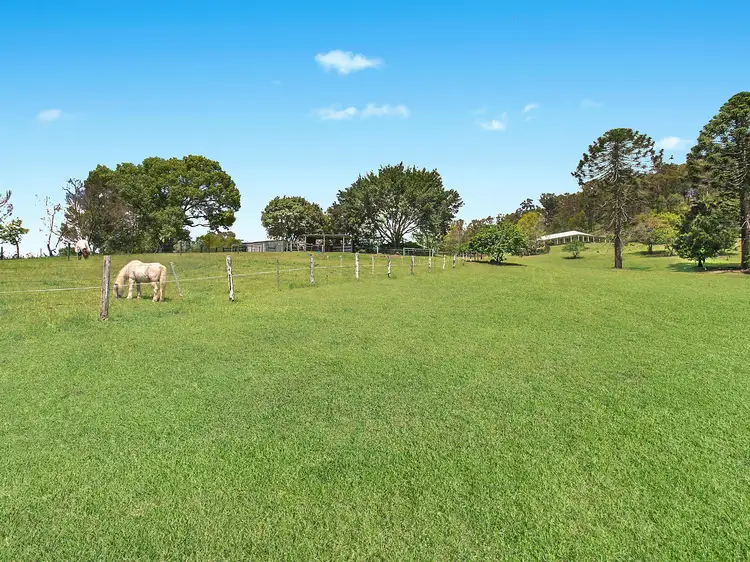 Sixth view of Homely rural property listing, 48 Country Road, Palmwoods QLD 4555