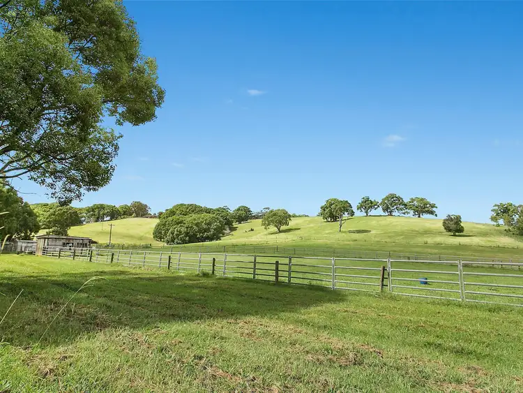 Fifth view of Homely house listing, 1026 Friday Hut Road, Binna Burra NSW 2479