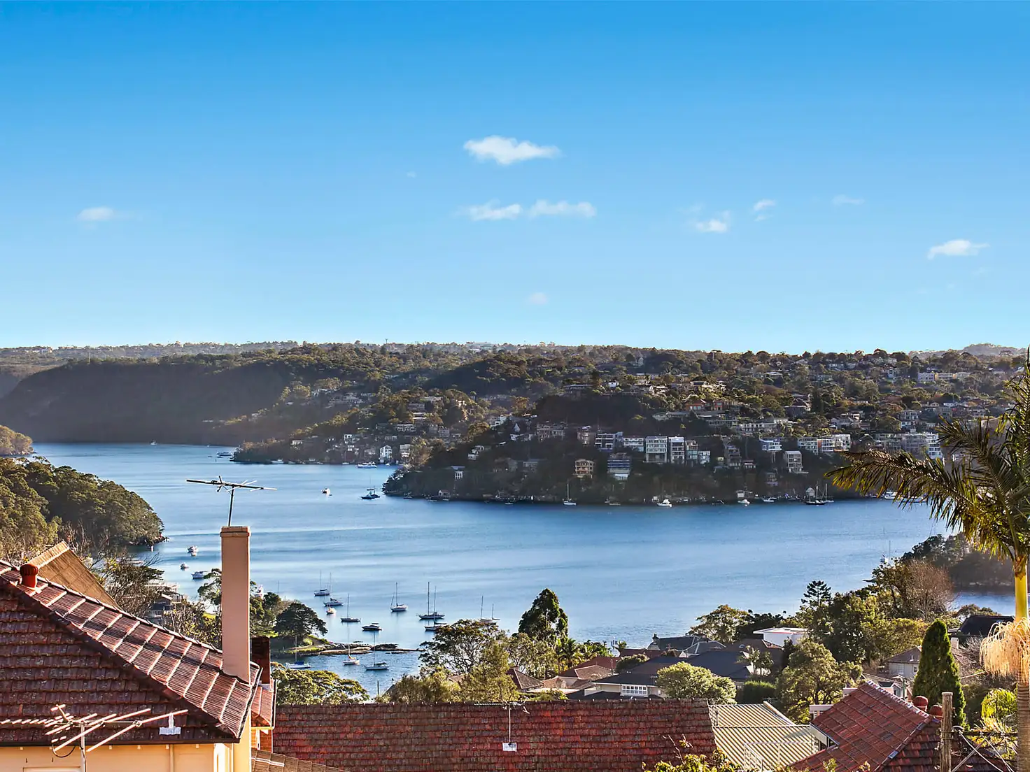Main view of Homely apartment listing, 503/5 Fifth Avenue, Cremorne NSW 2090