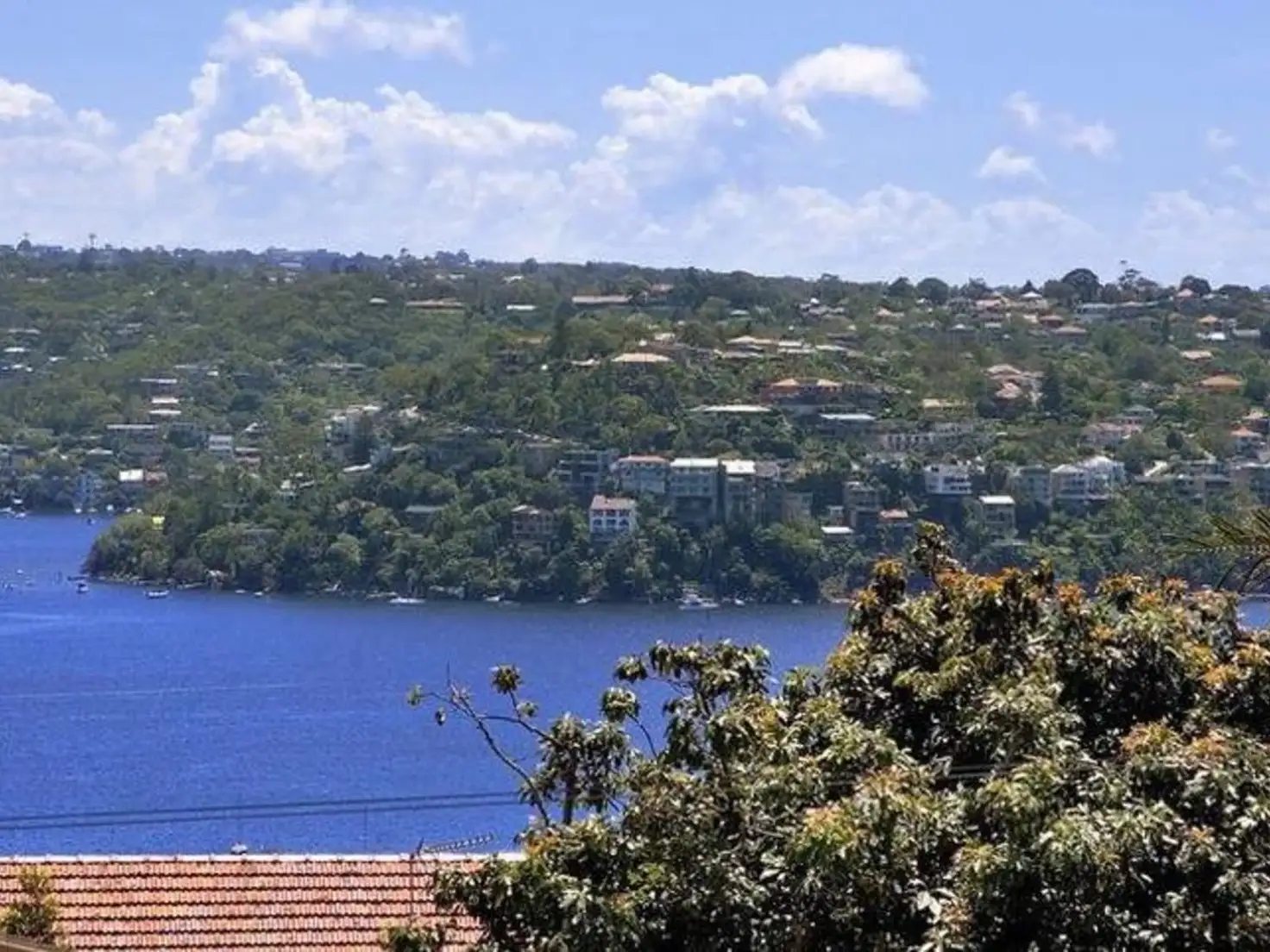 Main view of Homely apartment listing, 403/5 Fifth Avenue, Cremorne NSW 2090