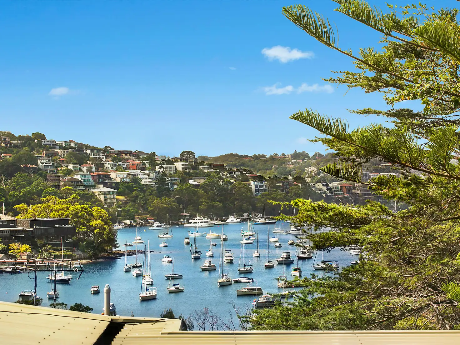 Main view of Homely apartment listing, 1/145 Young Street, Cremorne NSW 2090