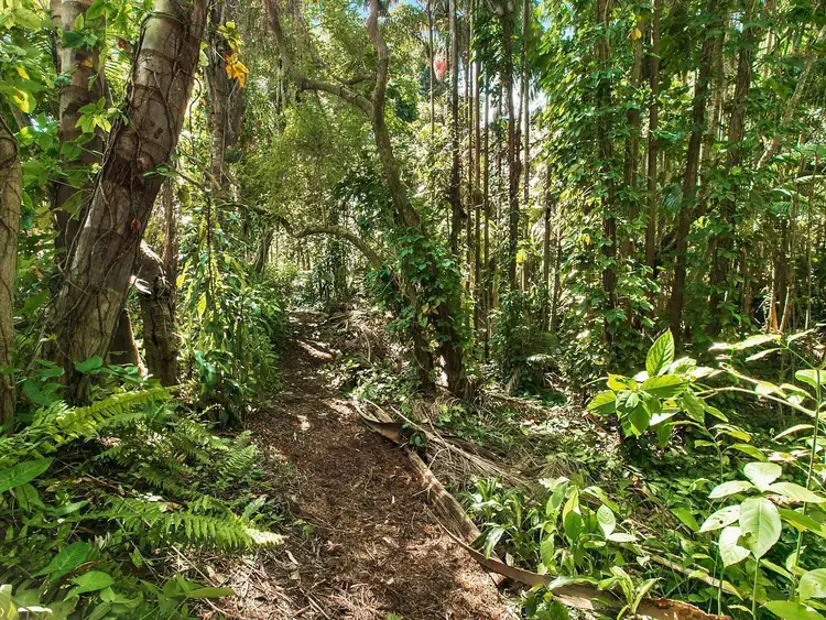 Third view of Homely land listing, Lot 2 176-184 Glenmount Road, Tanawha QLD 4556