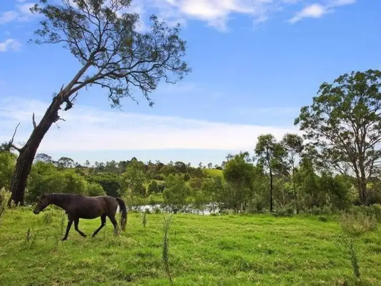 Second view of Homely rural property listing, 309 Bobs Range Road, Orangeville NSW 2570
