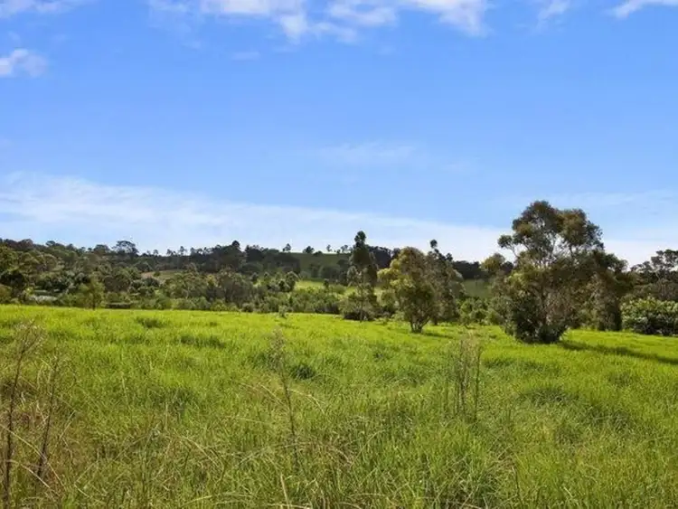 Fourth view of Homely rural property listing, 309 Bobs Range Road, Orangeville NSW 2570