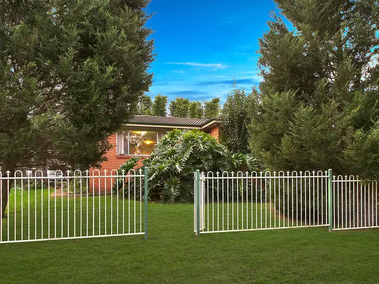 14 Chasselas Avenue, Eschol Park NSW 2558