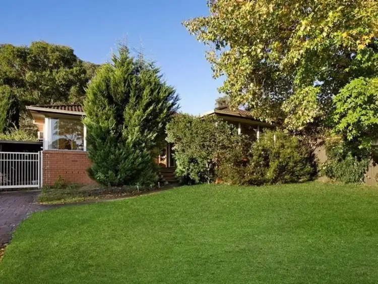 Main view of Homely house listing, 3 Johnson Avenue, Camden South NSW 2570