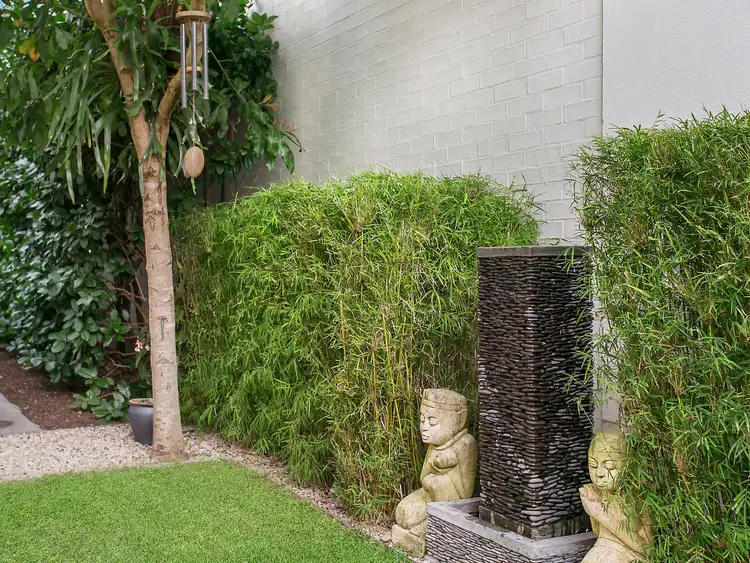 Fifth view of Homely house listing, 3 Gumara Street, Randwick NSW 2031