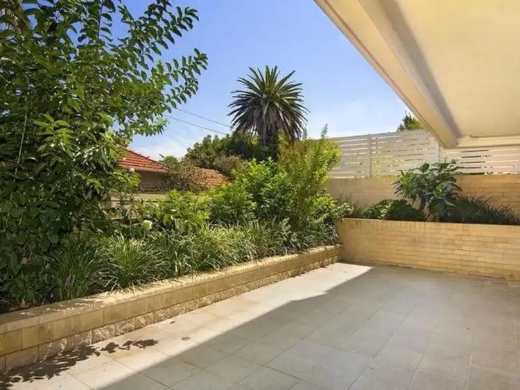 3/171 Avoca Street, Randwick NSW 2031