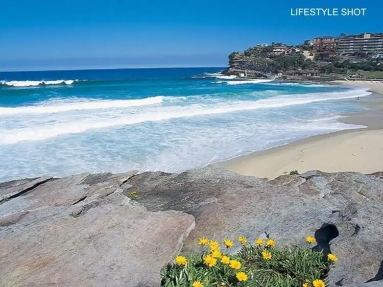 Fourth view of Homely apartment listing, 17/36 Pacific Street, Bronte NSW 2024