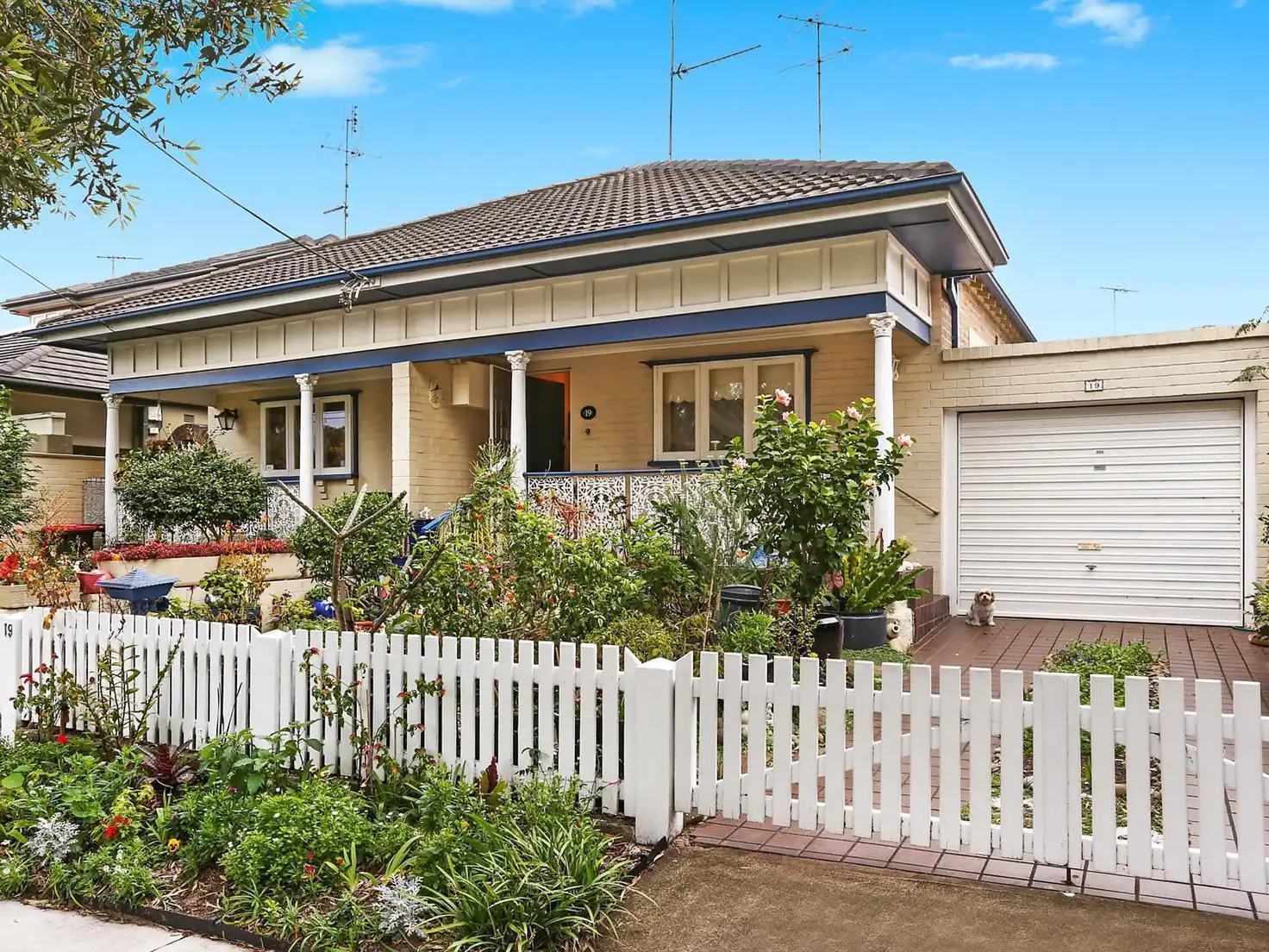 Main view of Homely house listing, 19 Dickson Street, Bronte NSW 2024