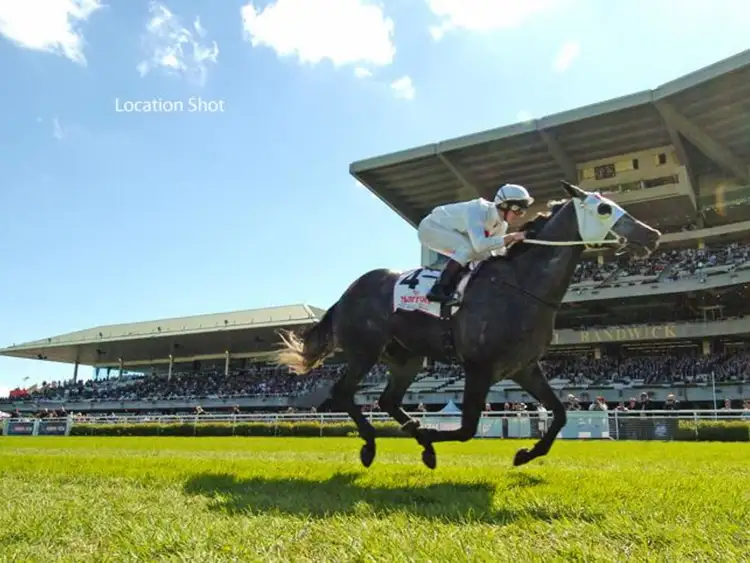 Sixth view of Homely house listing, 708 Anzac Parade, Kingsford NSW 2032