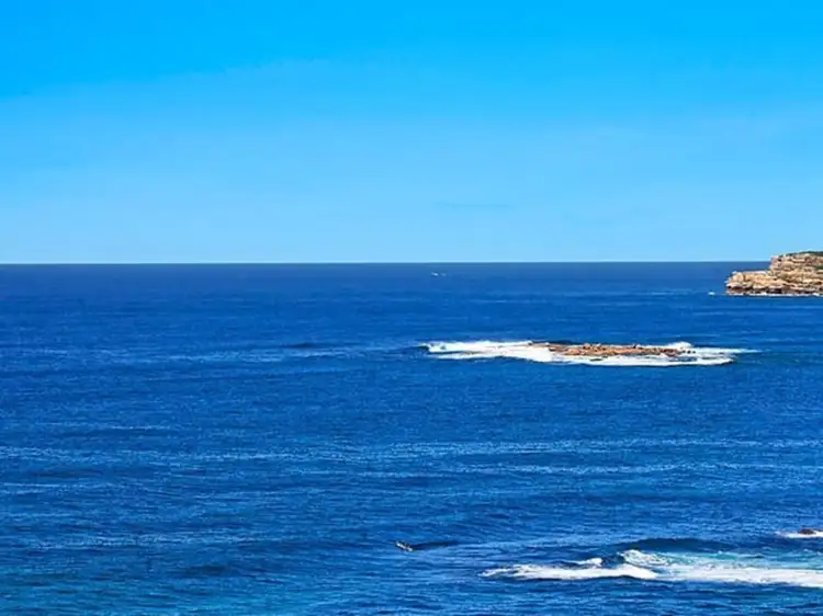 Third view of Homely apartment listing, 5/23 Melrose Parade, Clovelly NSW 2031