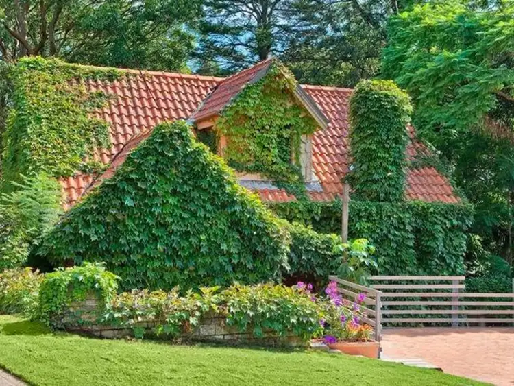 Fourth view of Homely house listing, 49 Buena Vista Avenue, Denistone NSW 2114