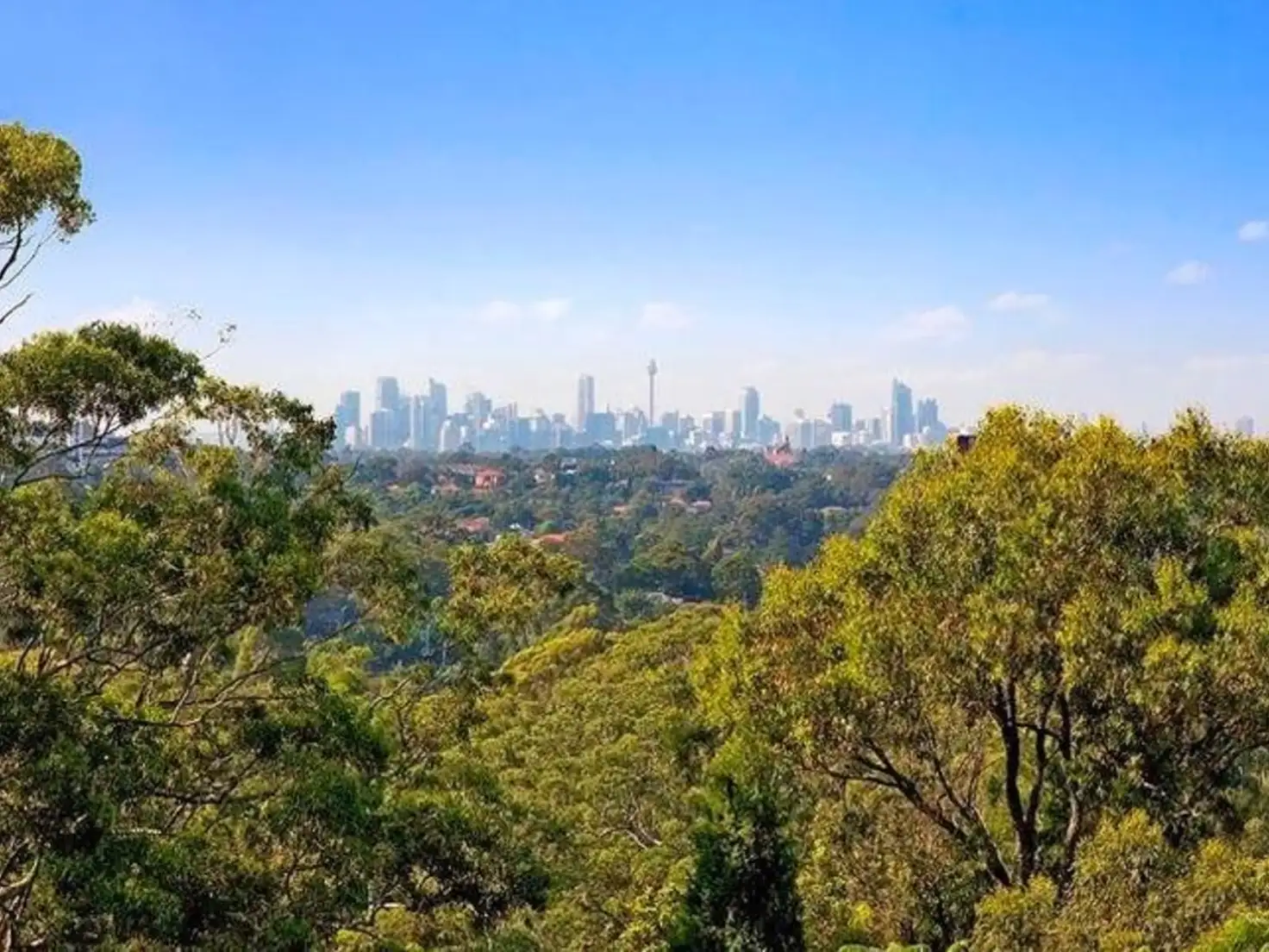 Main view of Homely house listing, 41 Buena Vista Avenue, Denistone NSW 2114
