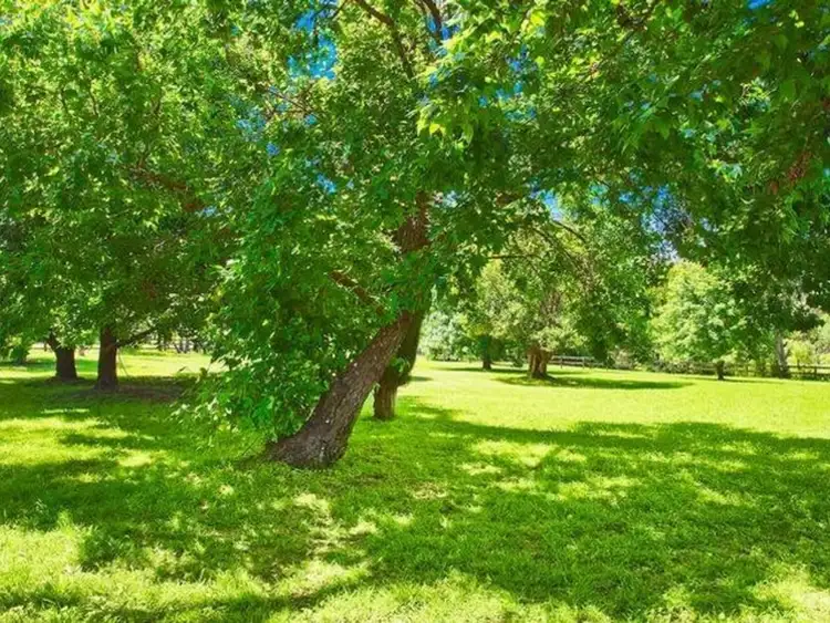 Fifth view of Homely house listing, 1 Gilmour Close, Glenhaven NSW 2156