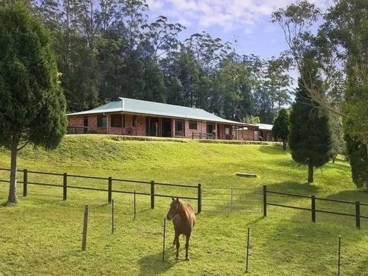 Main view of Homely rural property listing, 604 Ourimbah Creek Road, Palm Grove NSW 2258