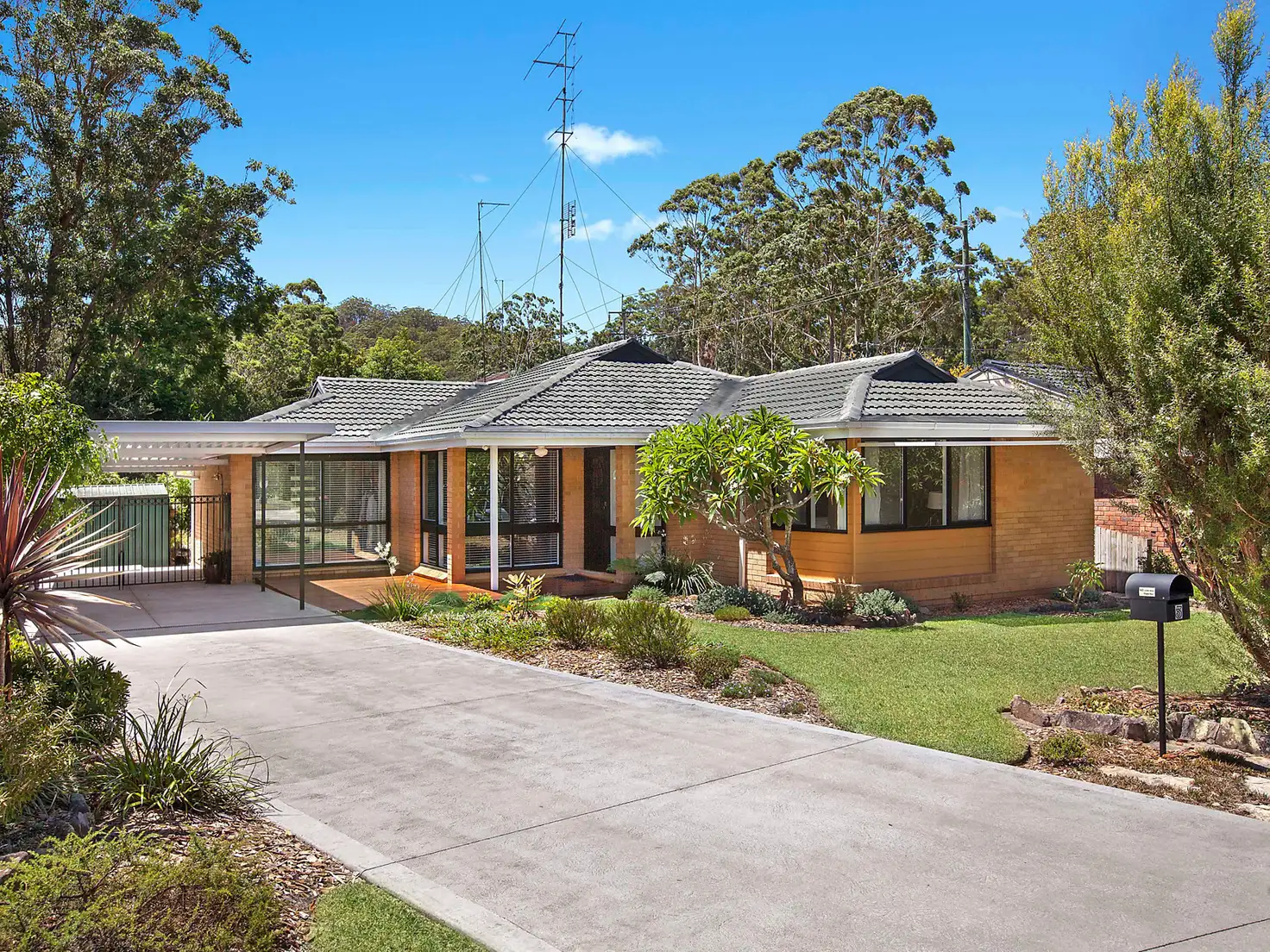Main view of Homely house listing, 3 Giselle Avenue, Wyoming NSW 2250