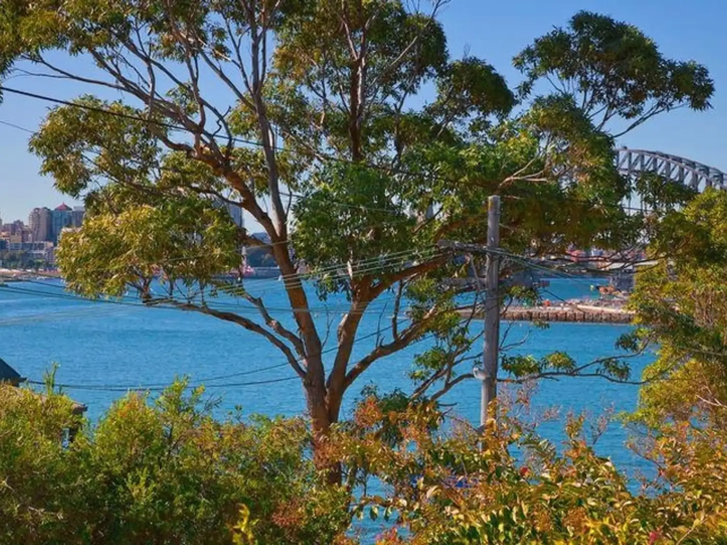 Main view of Homely house listing, 8 Paul Street, Balmain East NSW 2041