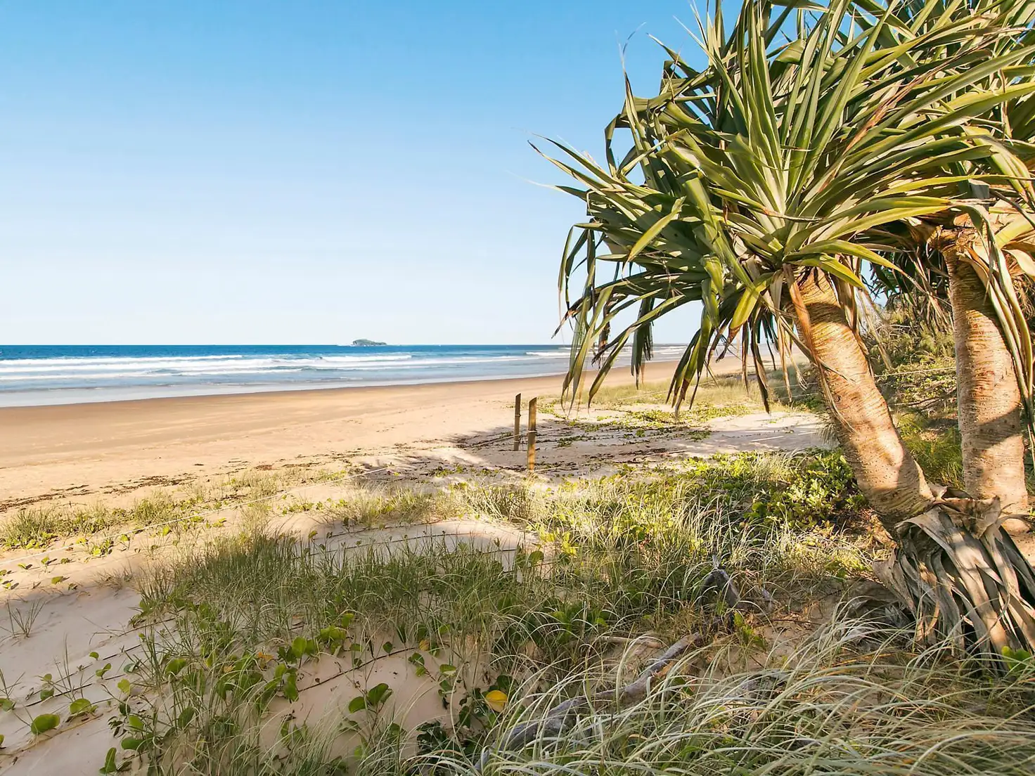 Main view of Homely apartment listing, 211/923 David Low Way, Marcoola QLD 4564