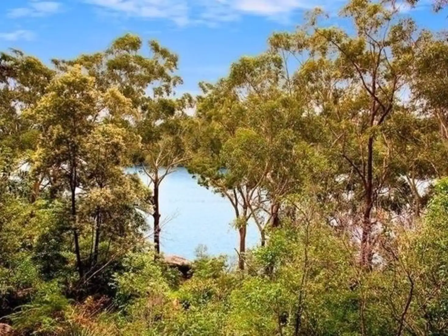 Main view of Homely house listing, 44A Barons Crescent, Hunters Hill NSW 2110