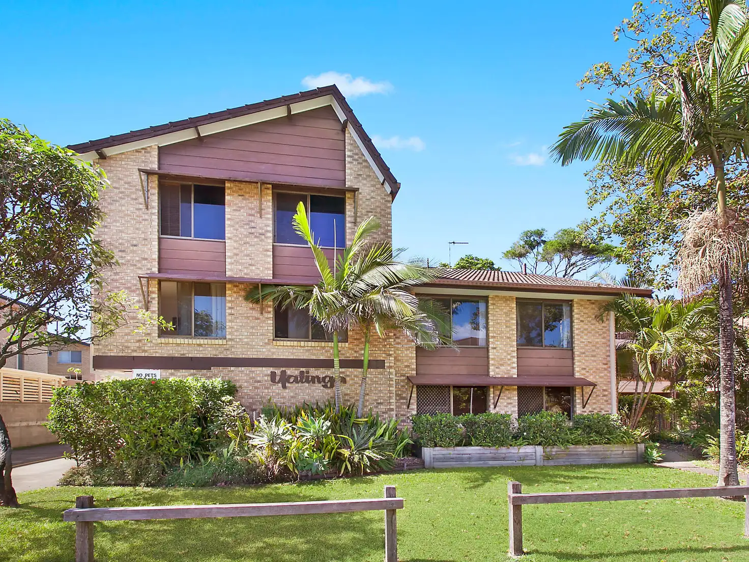 Main view of Homely apartment listing, 3/5 Nalla Court, Palm Beach QLD 4221
