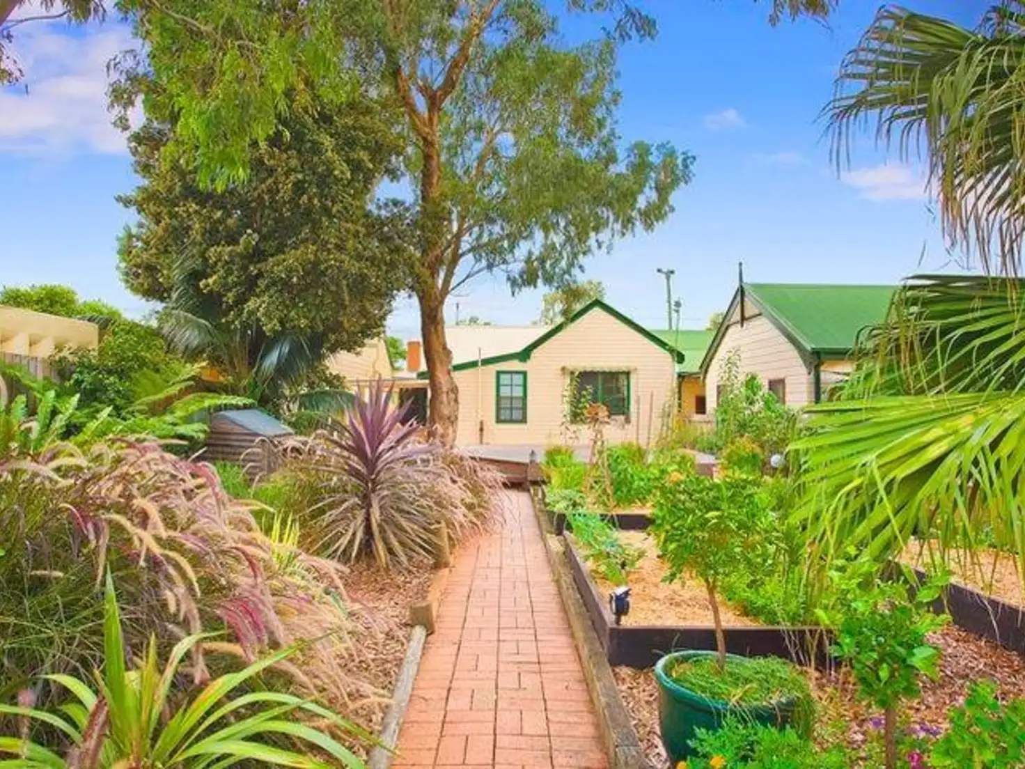 Main view of Homely house listing, 17 Buller Street, North Parramatta NSW 2151