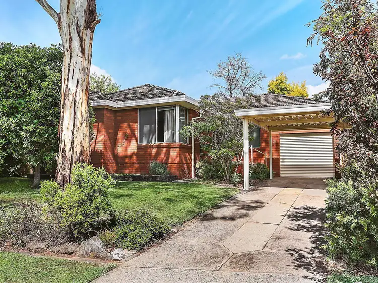 38 Douglas Street, Panania NSW 2213