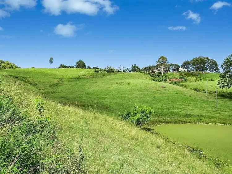 Fifth view of Homely house listing, 125 Jacksons Road, Woombye QLD 4559