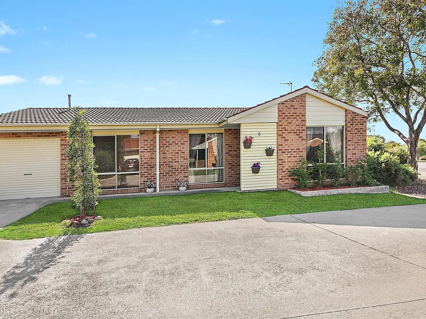 Main view of Homely villa listing, 6/41 Ern Florence Crescent, Theodore ACT 2905