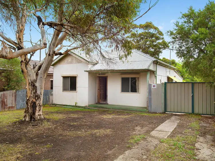 61 Iliffe Street, Bexley NSW 2207