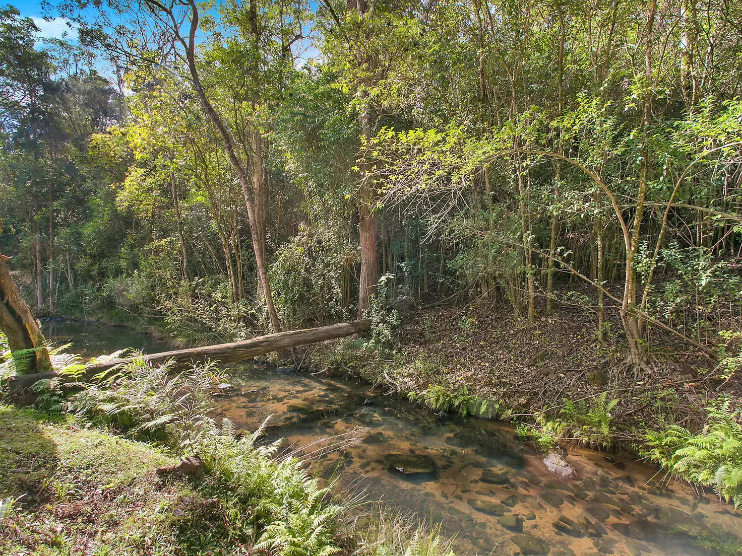 Main view of Homely land listing, 60 McErlean Road, Ravensbourne QLD 4352