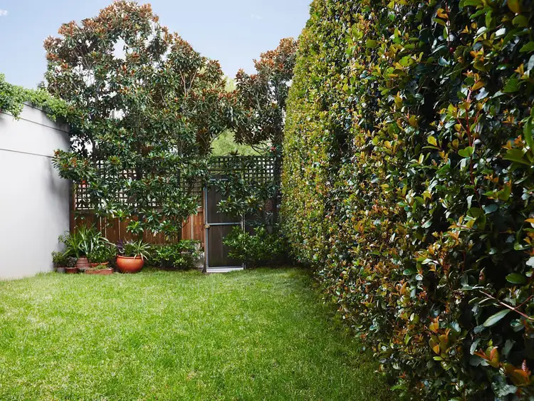 Second view of Homely house listing, 16 Wallis Street, Woollahra NSW 2025