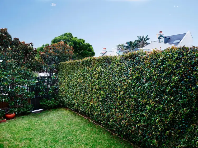 Third view of Homely house listing, 16 Wallis Street, Woollahra NSW 2025
