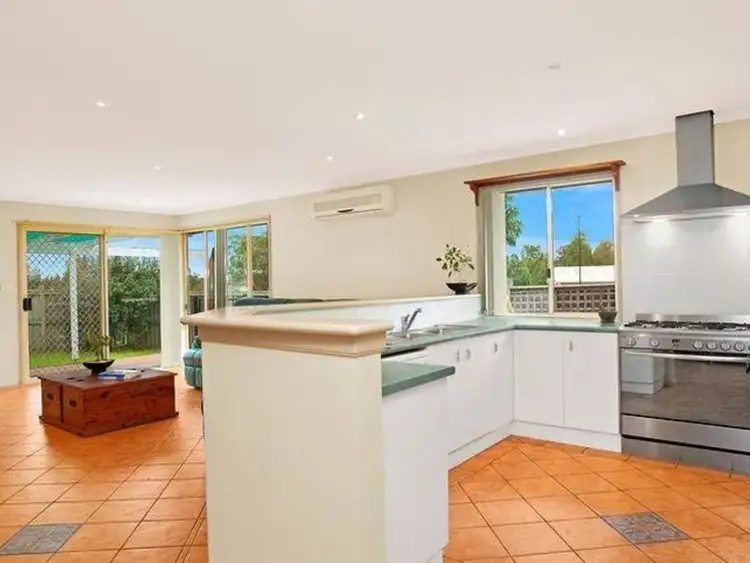 Main view of Homely house listing, 31 Wattle Green Place, Narellan Vale NSW 2567