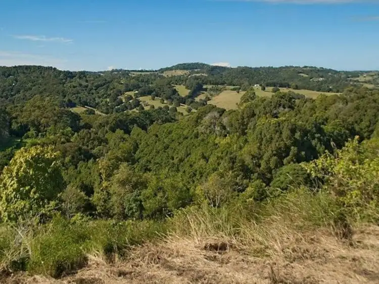 Third view of Homely rural property listing, 149 Coopers Creek Road, Repentance Creek NSW 2480
