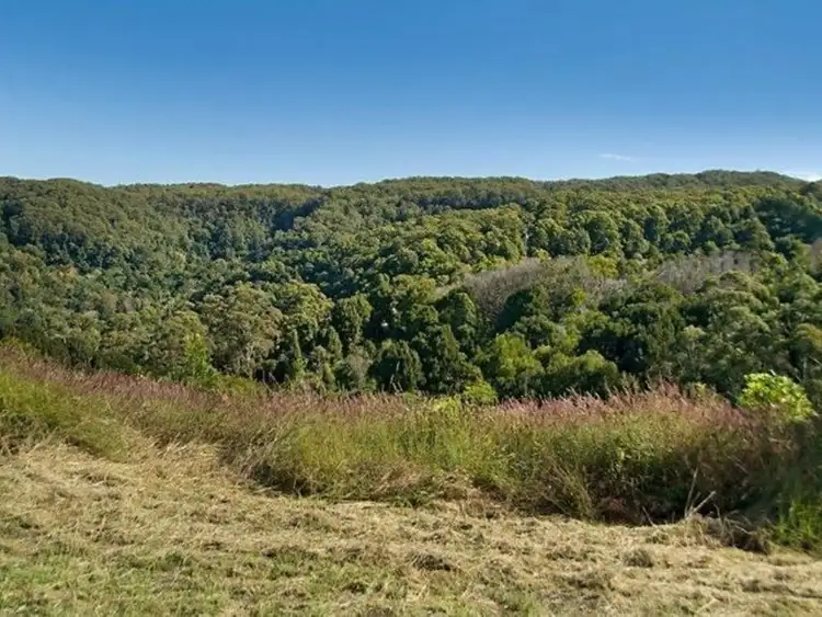 Fourth view of Homely rural property listing, 149 Coopers Creek Road, Repentance Creek NSW 2480