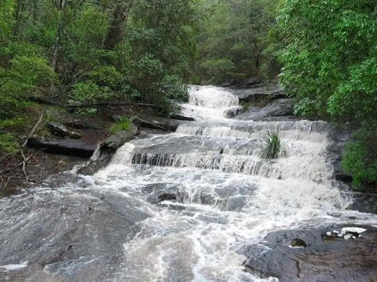 Main view of Homely house listing, 620 The Gap Road, The Gap NSW 2472