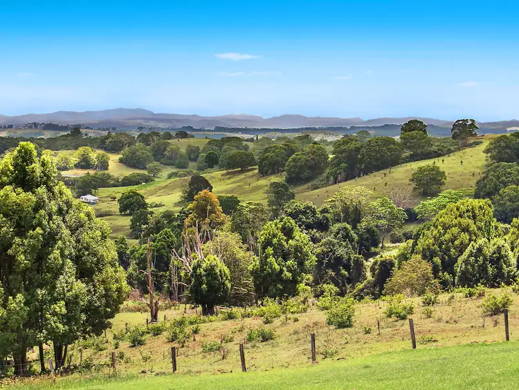 Main view of Homely house listing, 480 Booyong Road, Nashua NSW 2479