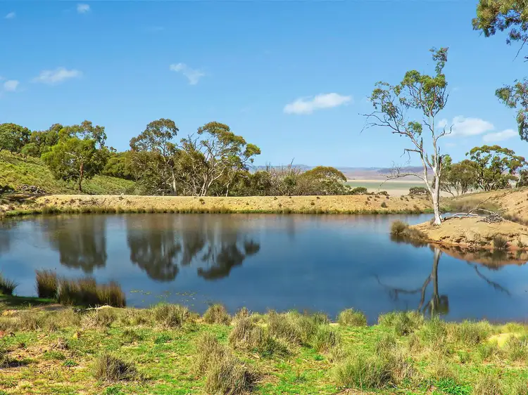 Third view of Homely rural property listing, 525 Grove Road, Bywong NSW 2621