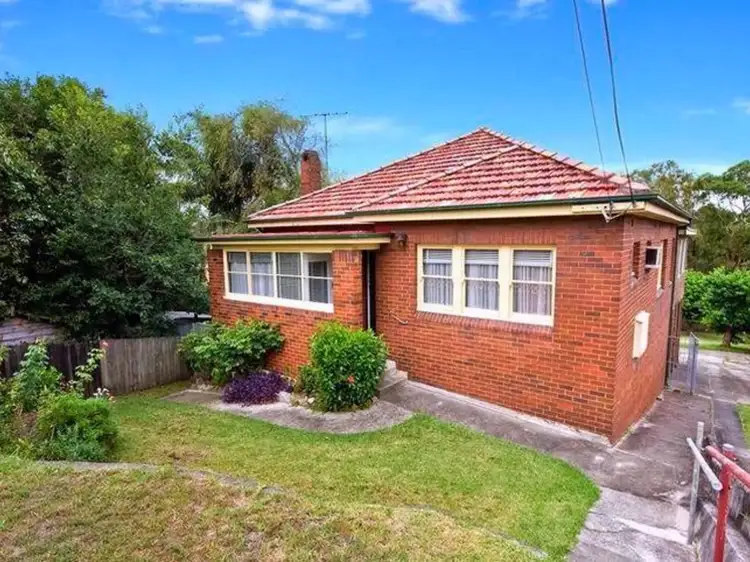 67 Tillock Street, Haberfield NSW 2045