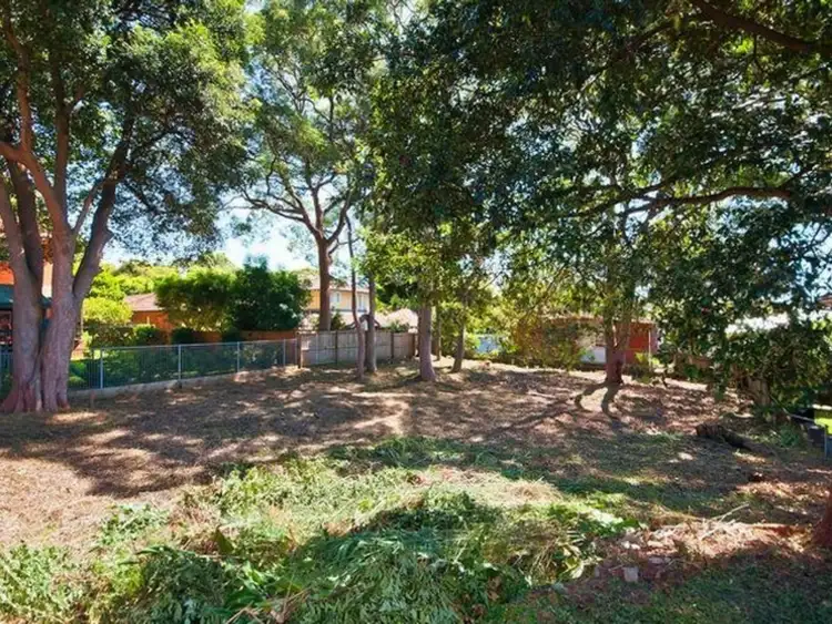 20A Ernest Street, Balgowlah Heights NSW 2093