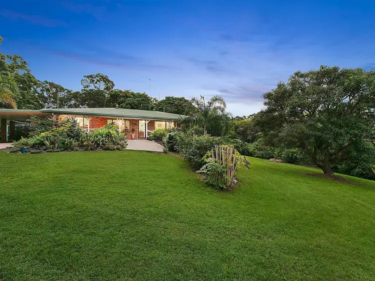 Main view of Homely house listing, 31 Needham Court, Kiels Mountain QLD 4559