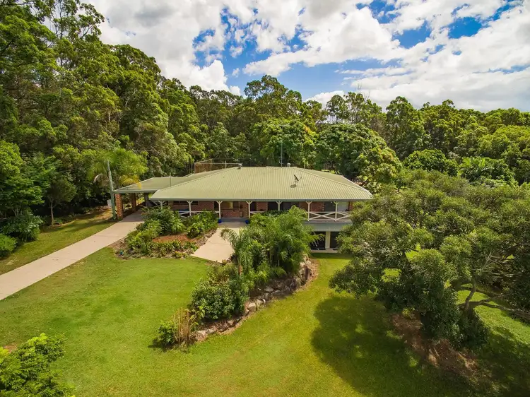 Fifth view of Homely house listing, 31 Needham Court, Kiels Mountain QLD 4559