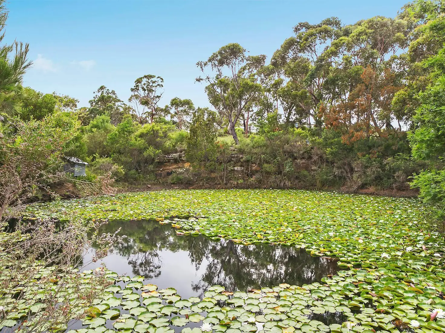 Main view of Homely house listing, 624 Darkes Forest Road, Darkes Forest NSW 2508